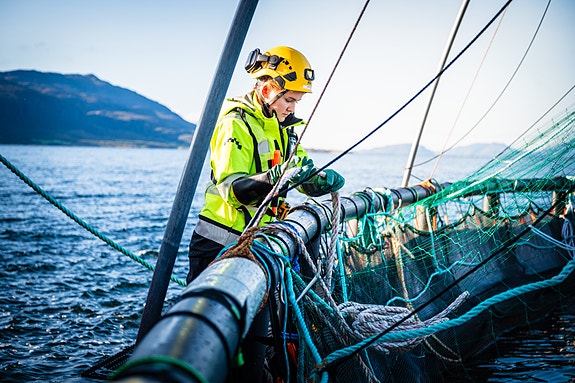 Bilde 2 av 3 i jobbannonse-galleriet