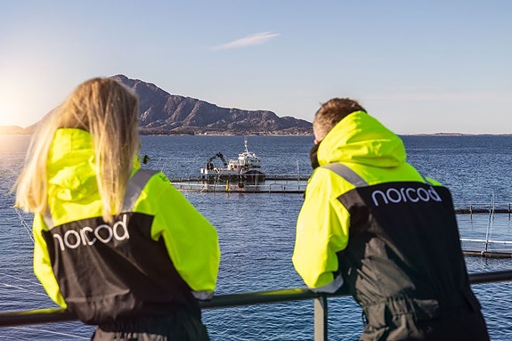 Bilde 1 av 2 i jobbannonse-galleriet