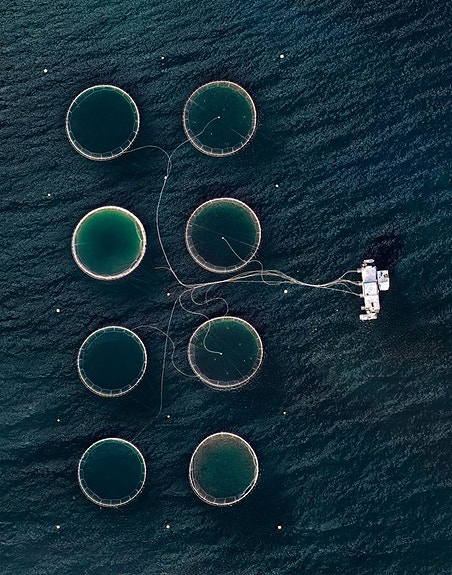 Bilde 2 av 2 i jobbannonse-galleriet