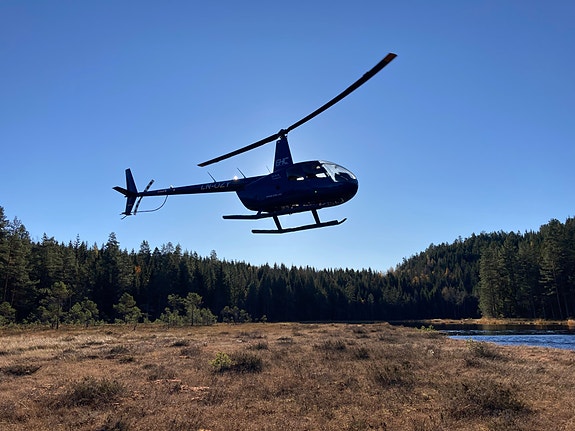 Bilde 3 av 3 i jobbannonse-galleriet