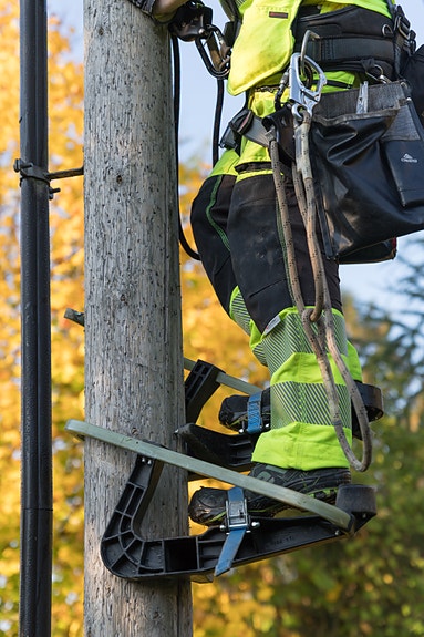 Bilde 2 av 2 i jobbannonse-galleriet