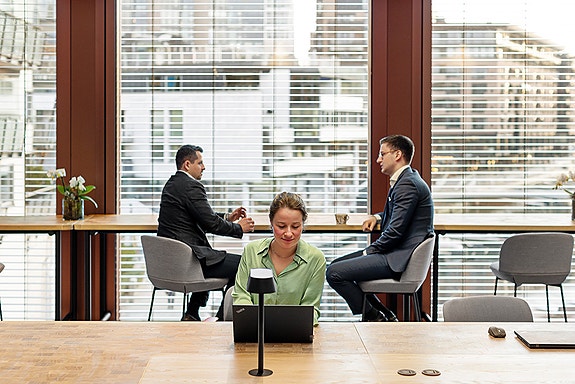 Bilde 1 av 1 i jobbannonse-galleriet