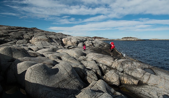 Bilde 1 av 1 i jobbannonse-galleriet