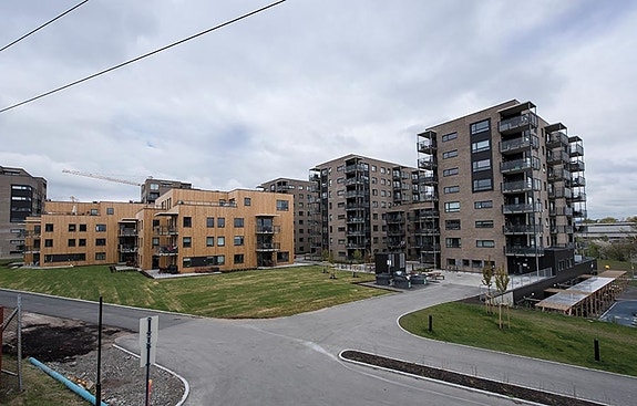 Bilde 3 av 3 i jobbannonse-galleriet