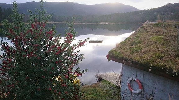 Bilde 5 av 5 i jobbannonse-galleriet