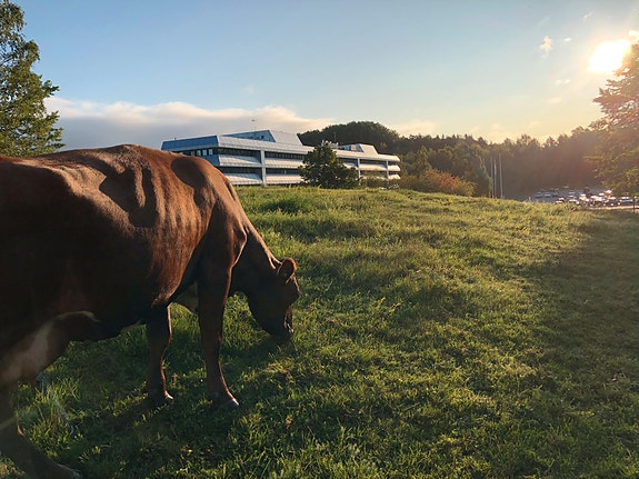 Bilde 2 av 4 i jobbannonse-galleriet