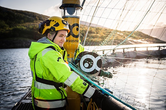 Bilde 2 av 3 i jobbannonse-galleriet