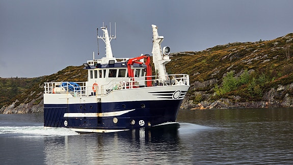 Bilde 1 av 5 i jobbannonse-galleriet