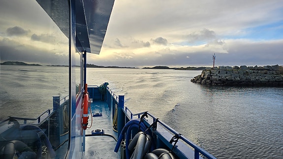 Bilde 2 av 5 i jobbannonse-galleriet