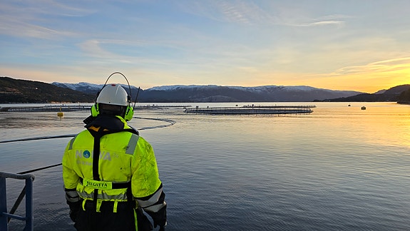 Bilde 5 av 5 i jobbannonse-galleriet