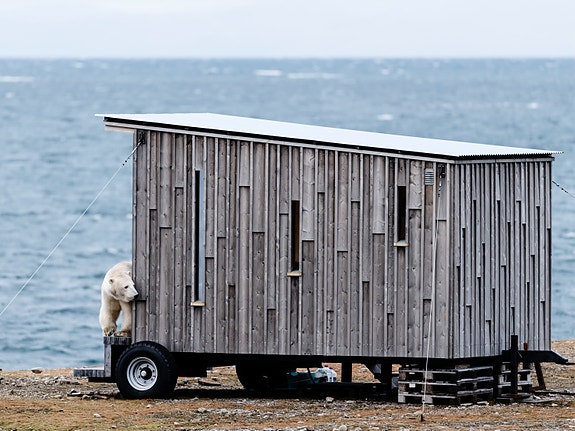 Bilde 1 av 12 i jobbannonse-galleriet