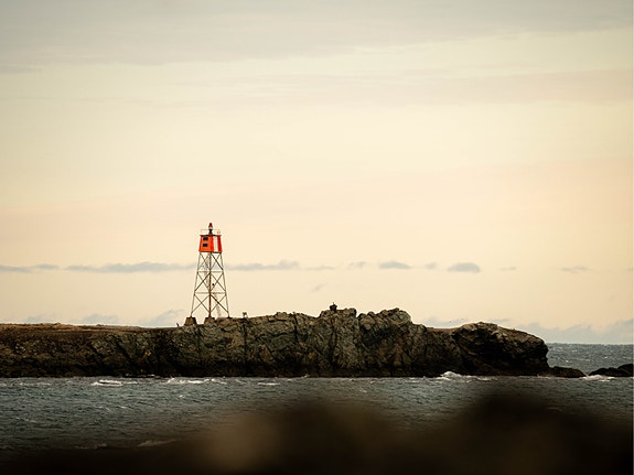 Bilde 11 av 12 i jobbannonse-galleriet