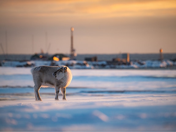 Bilde 1 av 8 i jobbannonse-galleriet
