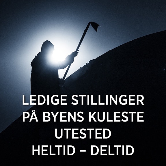 Bilde 1 av 3 i jobbannonse-galleriet