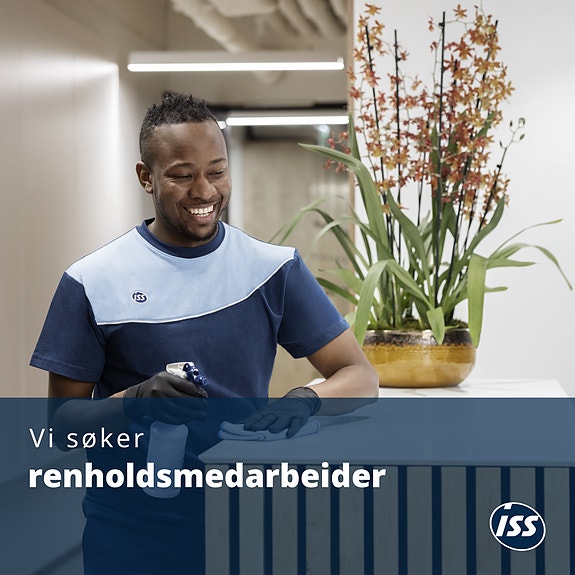 Bilde 1 av 1 i jobbannonse-galleriet