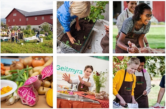 Bilde 1 av 1 i jobbannonse-galleriet