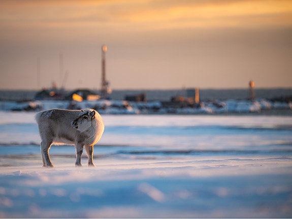Bilde 2 av 7 i jobbannonse-galleriet