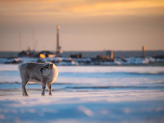 Bilde 7 av 7 i jobbannonse-galleriet