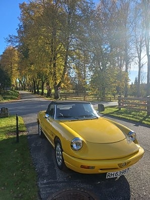 Alfa Romeo Spider 5 of 5
