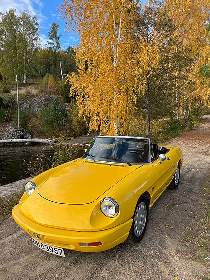 Alfa Romeo Spider 6 of 24