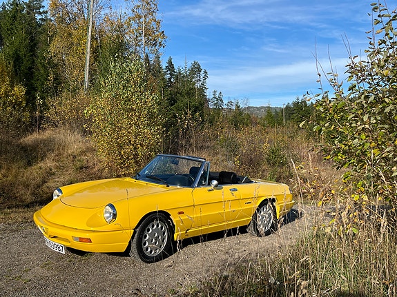 Alfa Romeo Spider 23 of 24