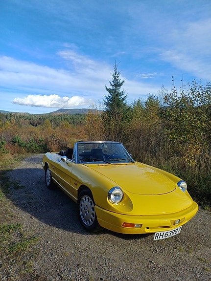 Alfa Romeo Spider 24 of 24