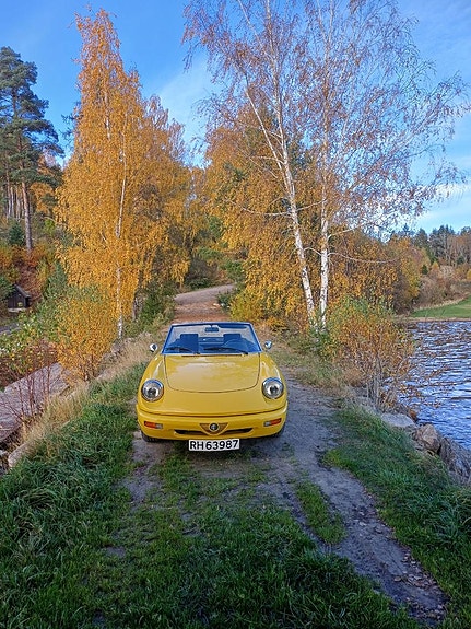 Alfa Romeo Spider 7 of 24