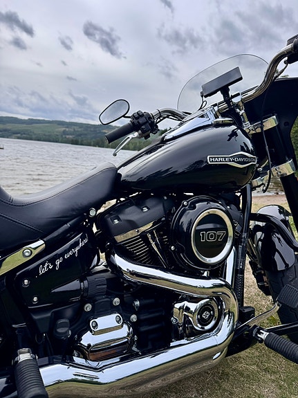 Harley-Davidson FLSB Sport Glide 23 of 24