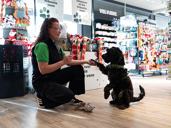 Bilde 3 av 9 i jobbannonse-galleriet