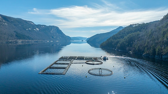 Bilde 2 av 4 i jobbannonse-galleriet