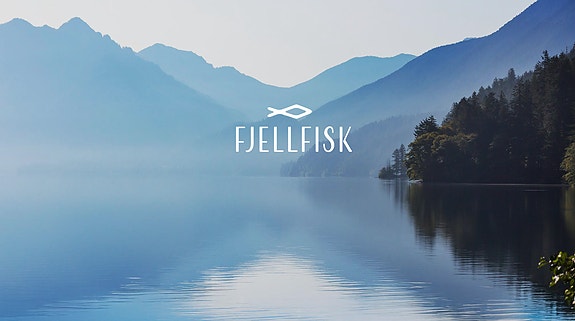 Bilde 1 av 4 i jobbannonse-galleriet