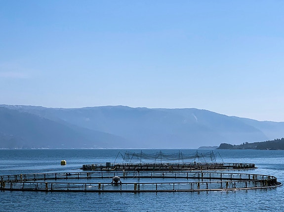 Bilde 4 av 4 i jobbannonse-galleriet