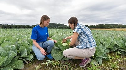 Bilde 2 av 3 i jobbannonse-galleriet