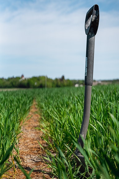 Bilde 3 av 3 i jobbannonse-galleriet