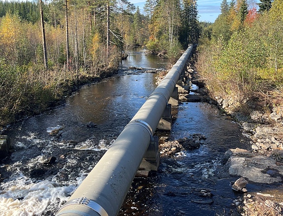 Bilde 4 av 4 i jobbannonse-galleriet