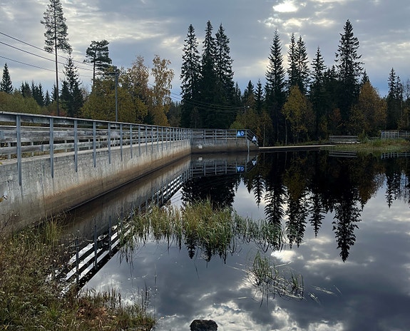 Bilde 2 av 4 i jobbannonse-galleriet