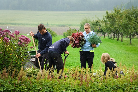Bilde 1 av 9 i jobbannonse-galleriet