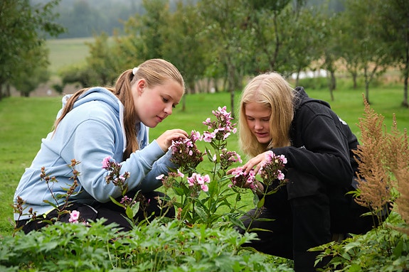 Bilde 2 av 9 i jobbannonse-galleriet