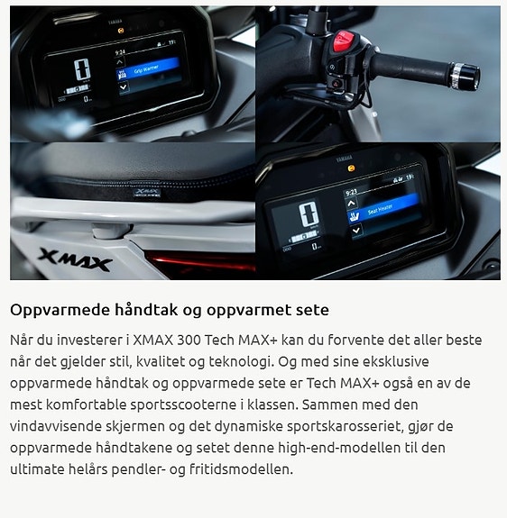 Yamaha XMAX 300 TECH MAX+ 29 of 29