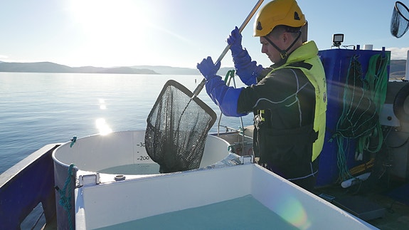 Bilde 3 av 4 i jobbannonse-galleriet