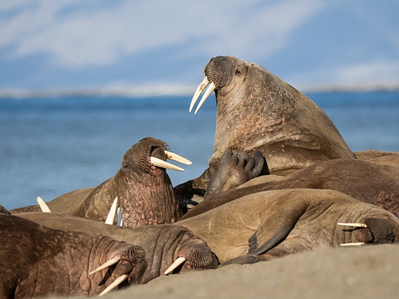 Bilde 2 av 9 i jobbannonse-galleriet