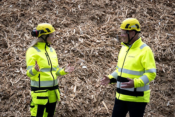 Bilde 5 av 5 i jobbannonse-galleriet