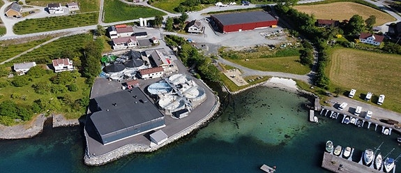 Bilde 1 av 2 i jobbannonse-galleriet