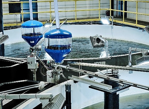 Bilde 2 av 2 i jobbannonse-galleriet