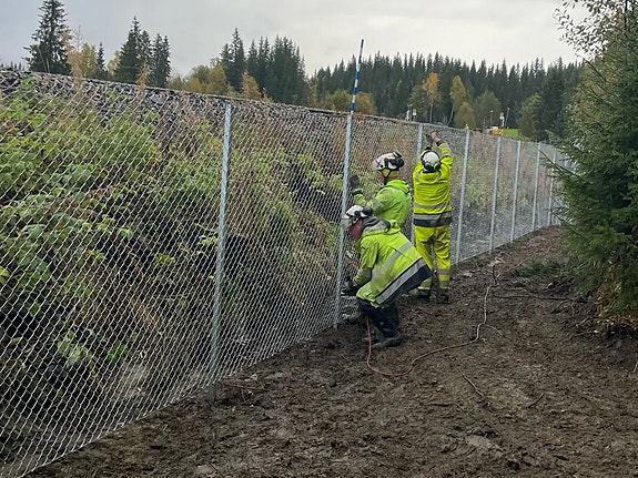 Bilde 1 av 2 i jobbannonse-galleriet
