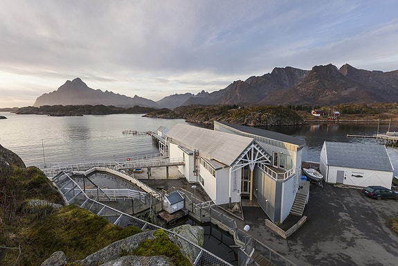 Lofotakvariet. Del av SKREI. Foto: Museum Nord