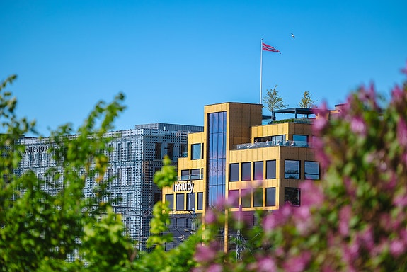 Bilde 2 av 7 i jobbannonse-galleriet