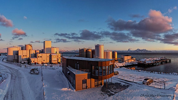 Bilde 1 av 1 i jobbannonse-galleriet