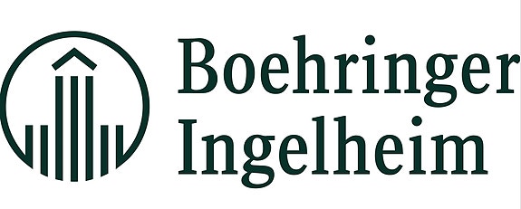 Bilde 1 av 10 i jobbannonse-galleriet