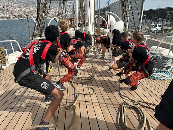 Bilde 2 av 2 i jobbannonse-galleriet